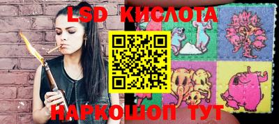 ПСИЛОЦИБИНОВЫЕ ГРИБЫ Будённовск