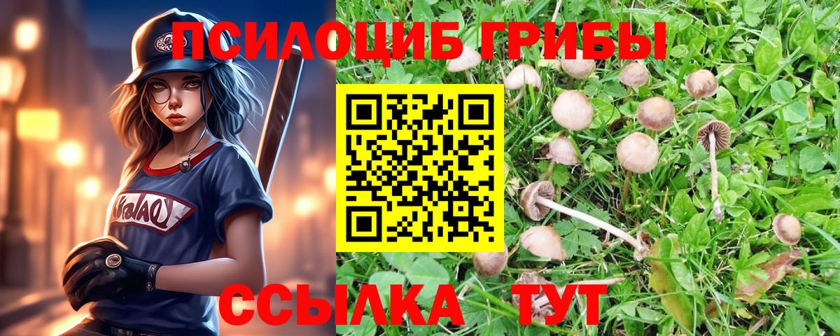 Псилоцибиновые грибы мицелий Нижний Тагил