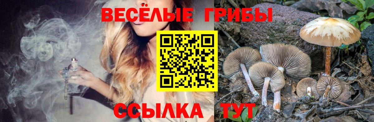 Нижний Тагил  Псилоцибиновые грибы прущие грибы  Галлюциногенные грибы мицелий  Вход с VPN 